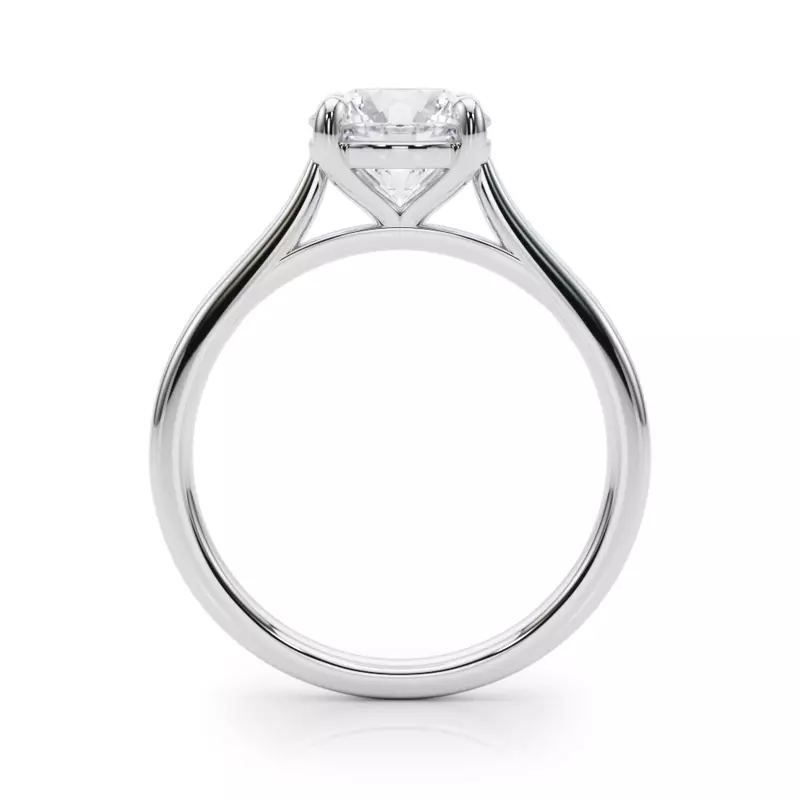 Platinum Noemie Cathedral Solitaire Engagement Ring