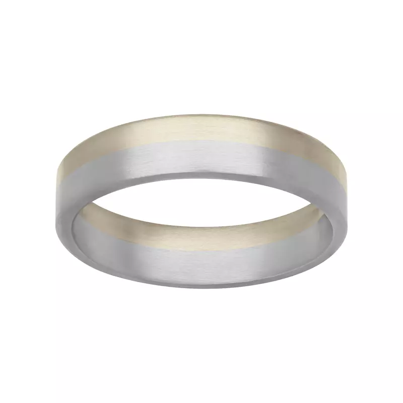 18K White Gold Two-Tone Inlay Fusion Band (5.5mm)