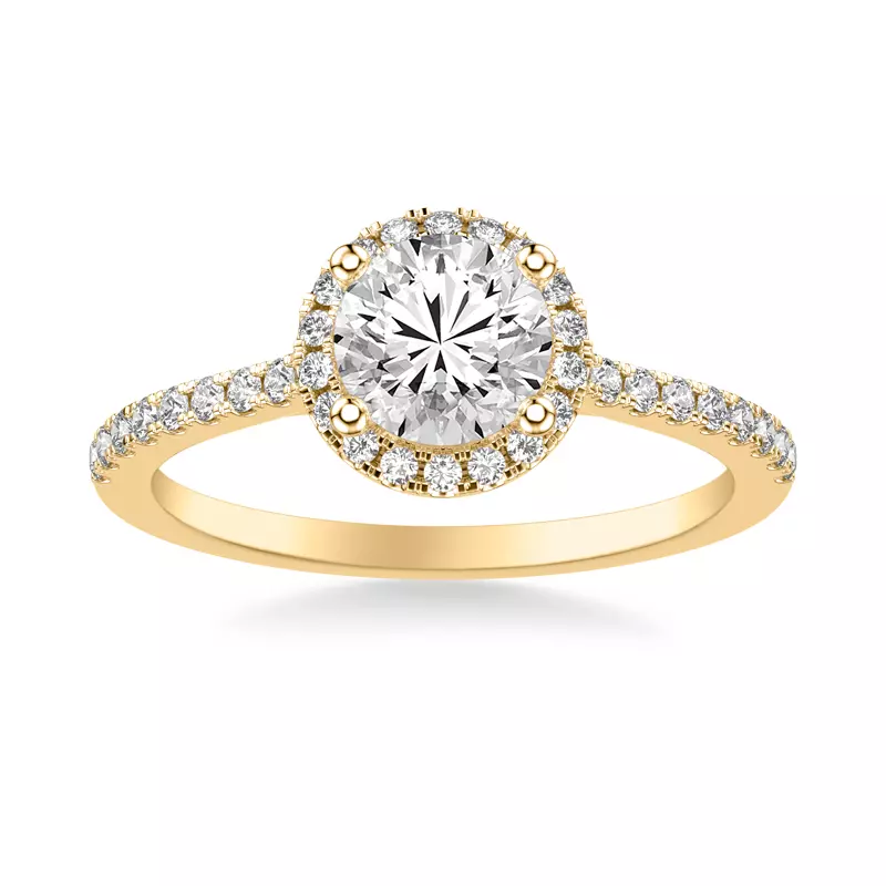 14K Yellow Gold Tasha Diamond Halo Engagement Ring