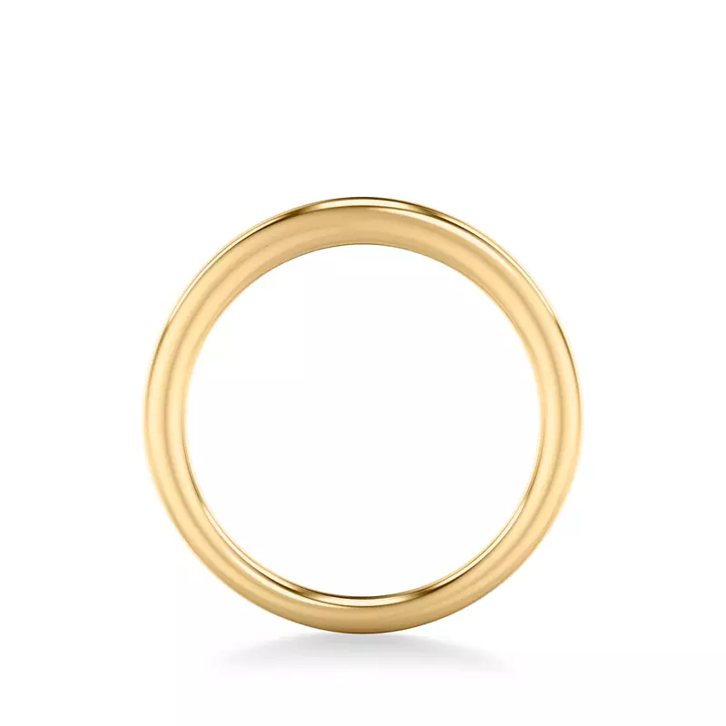 14K Yellow Gold Delphina High Polished Band