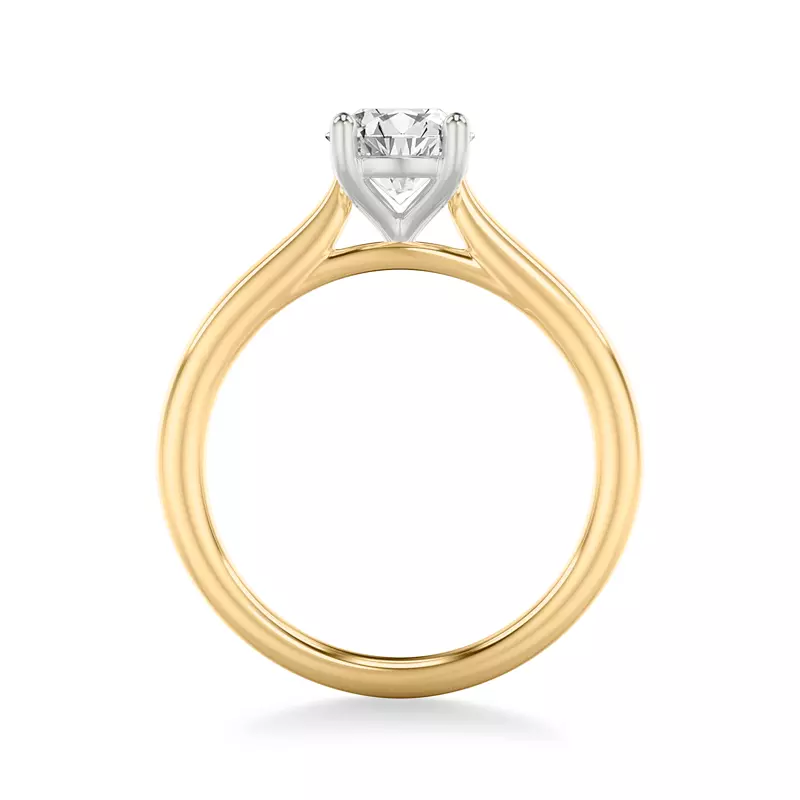 Yellow Gold 18k & White Gold 18k Delphina Two-Tone Solitaire