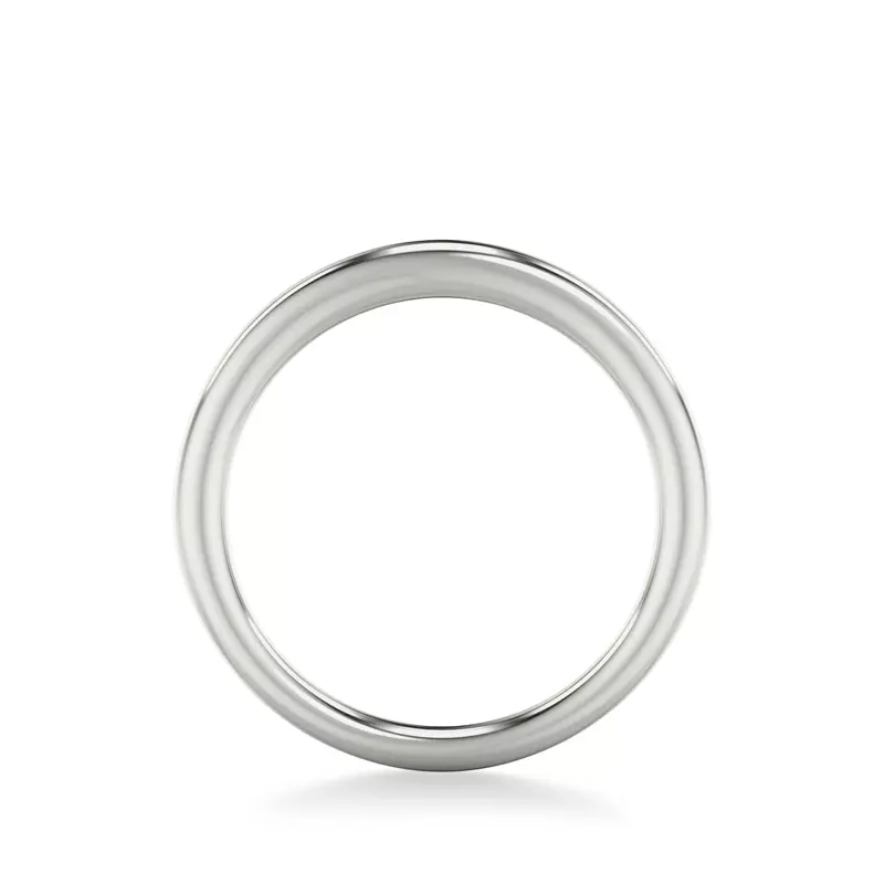 Platinum Delphina High Polished Band