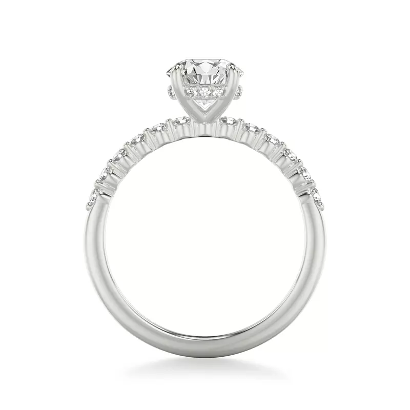 14K White Gold Bliss Petite Shared Prong Diamond Engagement Ring