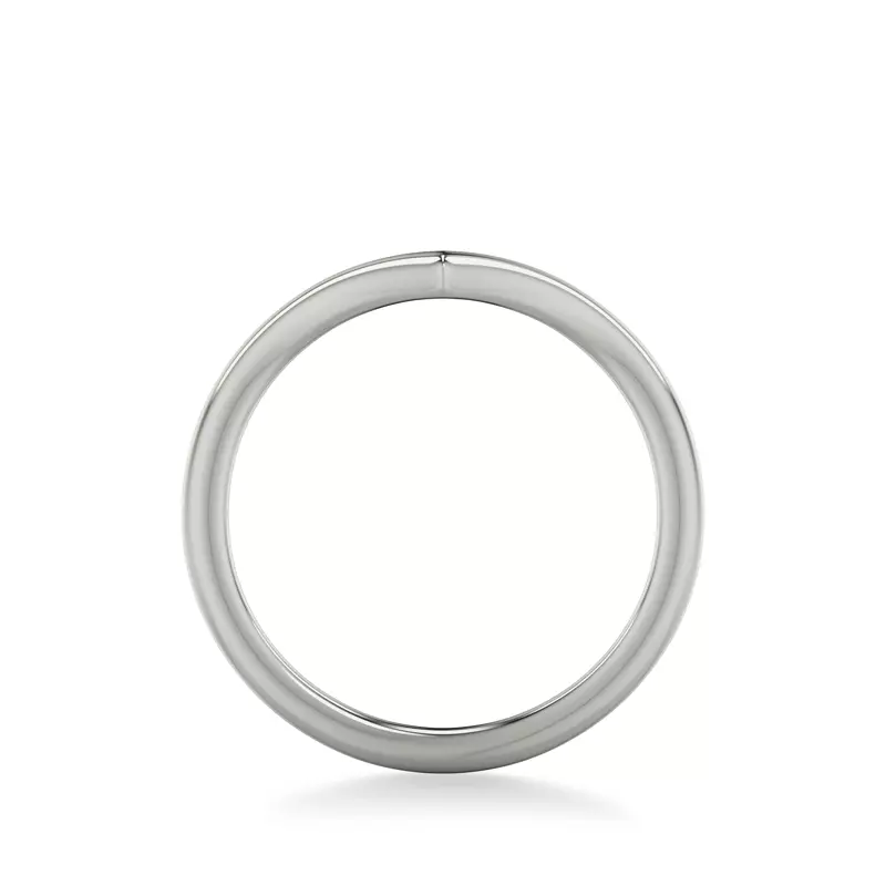 Platinum Emmy Wedding Band