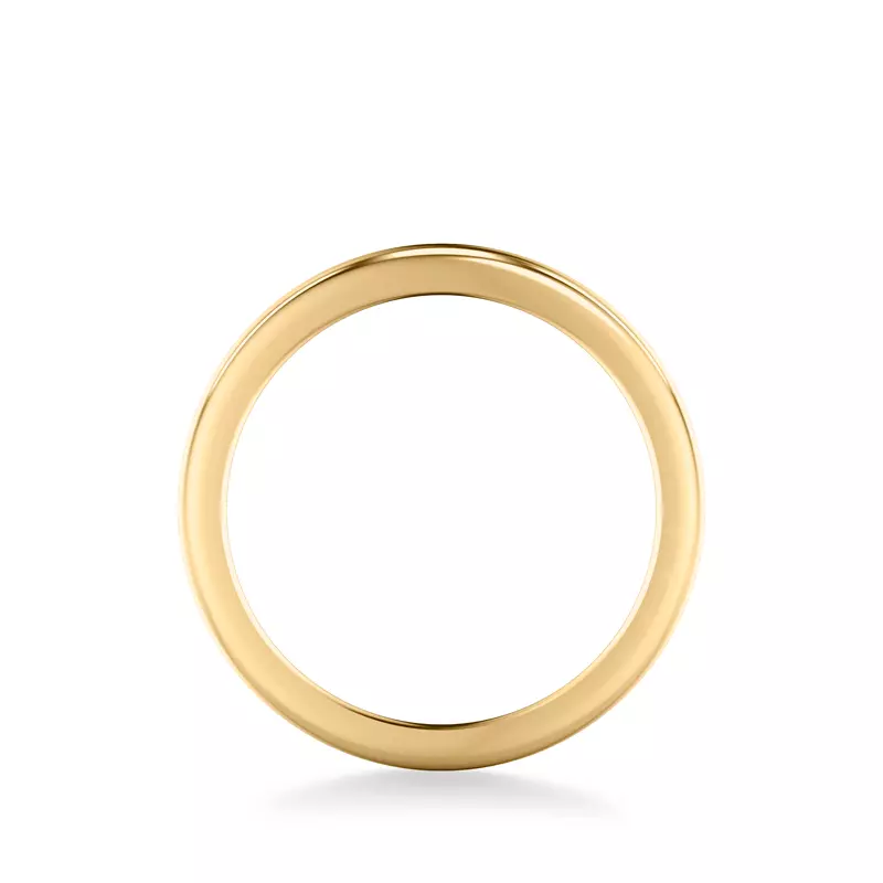 14K Yellow Gold Noa High Polished Band