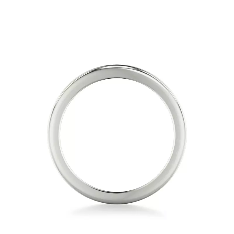 Platinum Noa High Polished Band
