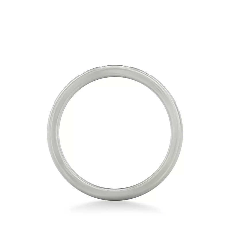 Platinum Alondra Brushed Finish Diamond Band