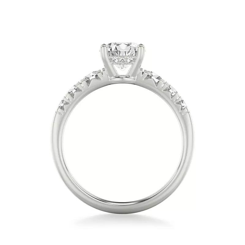 14K White Gold Cressida North-South Hidden Halo Engagement Ring