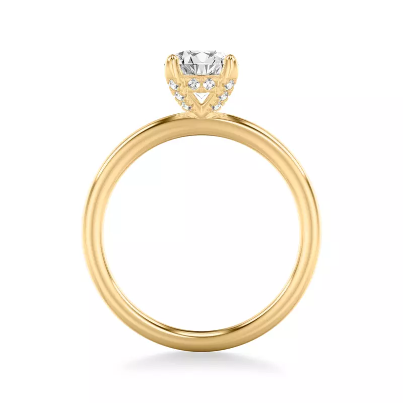 14K Yellow Gold Paloma Diamond Prong Engagement Ring