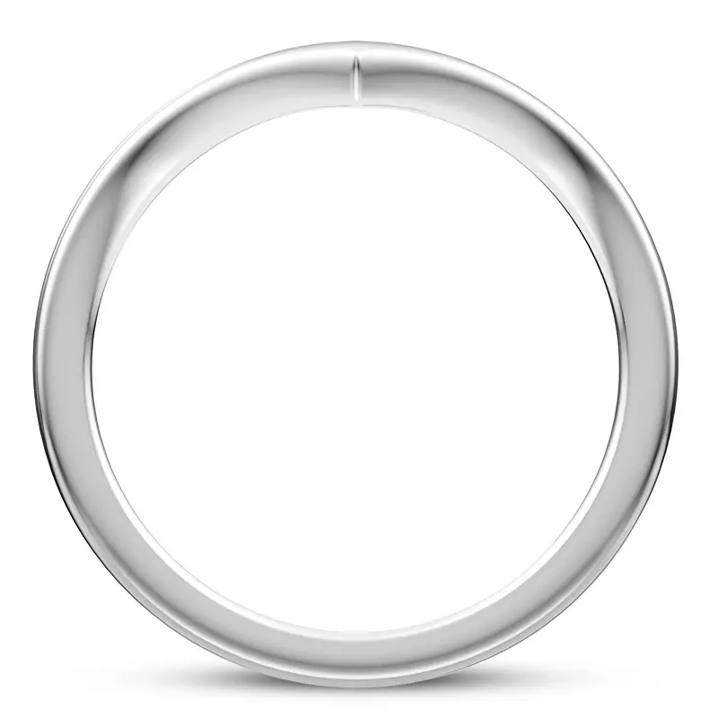 Platinum Roxie Chevron Polished Band