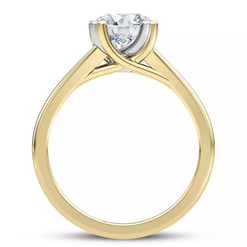 14K Yellow Gold Tori Double Prong Mixed-Metal Hidden Halo Engagement Ring