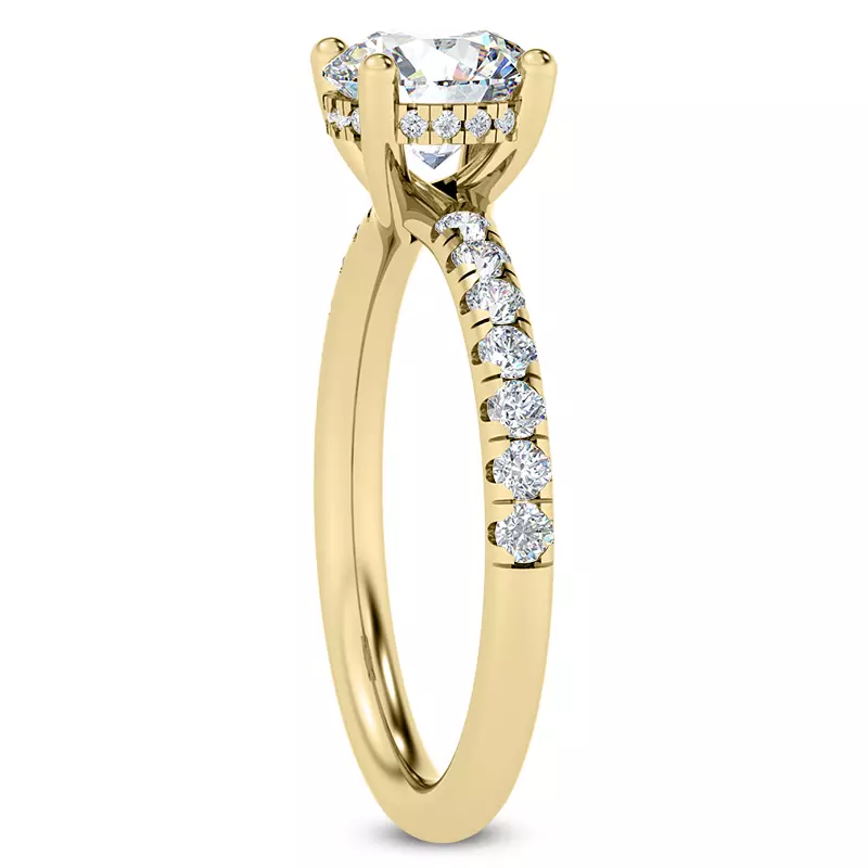 14K Yellow Gold Cache Hidden Halo Trellis Pave Engagement Ring