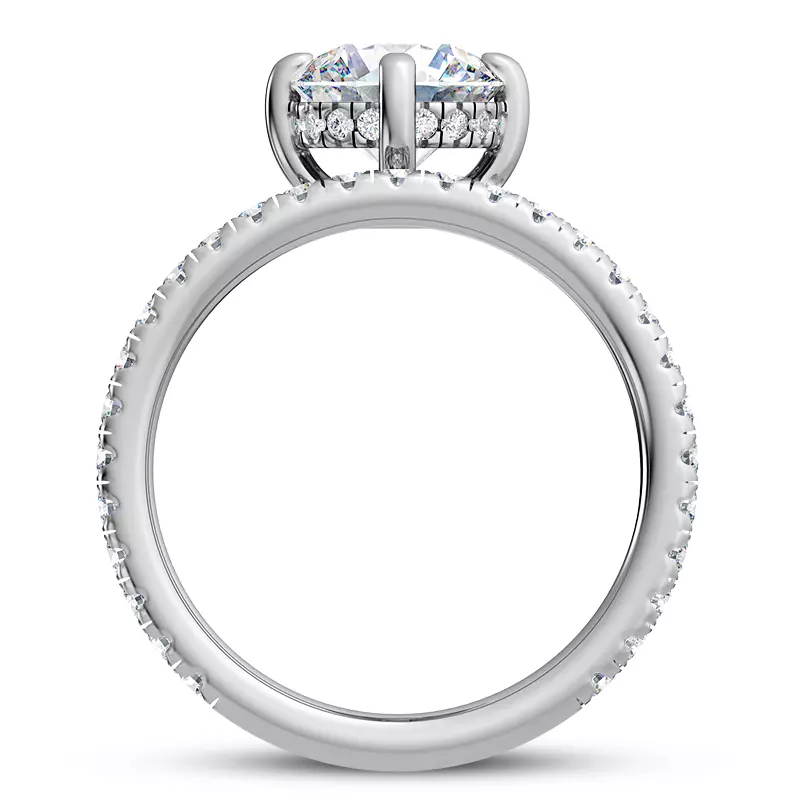 14K White Gold Raina Floating Hidden Halo Engagement Ring