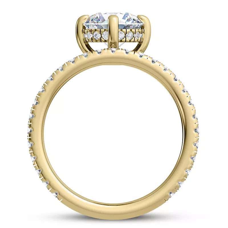 14K Yellow Gold Raina Floating Hidden Halo Engagement Ring