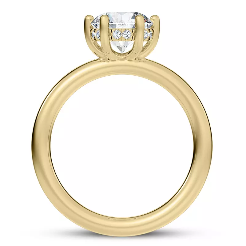 14K Yellow Gold Colore Diamond Hidden Engagement Ring