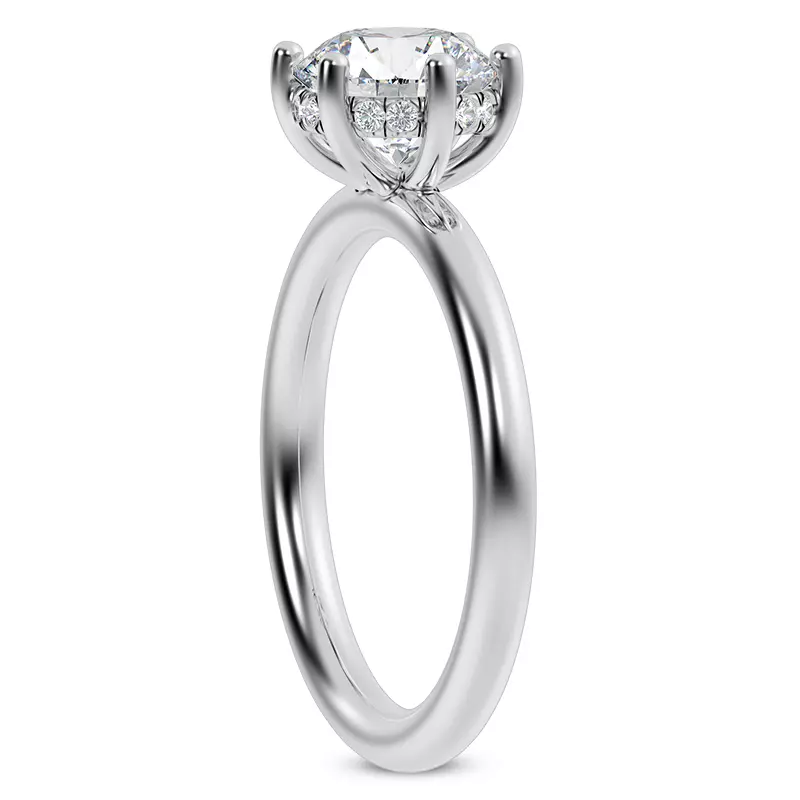 Platinum Colore Diamond Hidden Engagement Ring