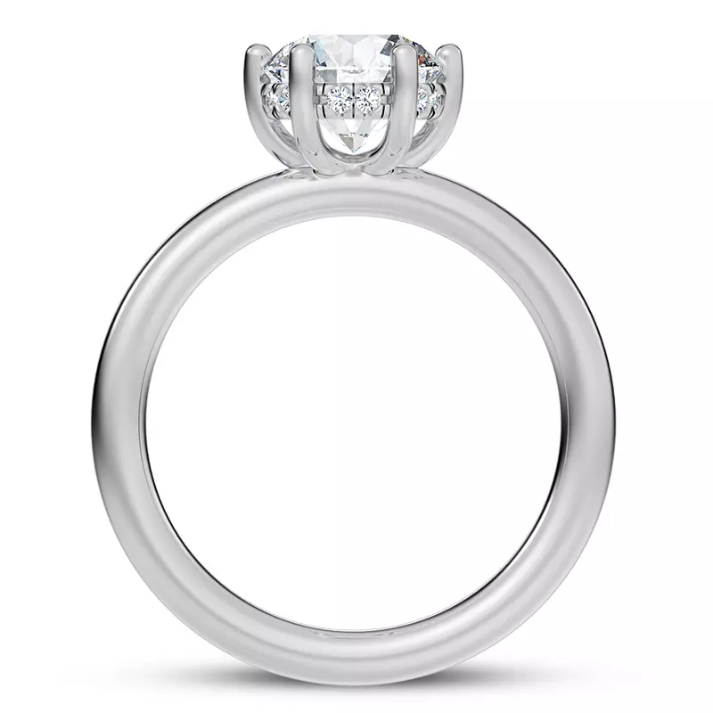 Platinum Colore Diamond Hidden Engagement Ring