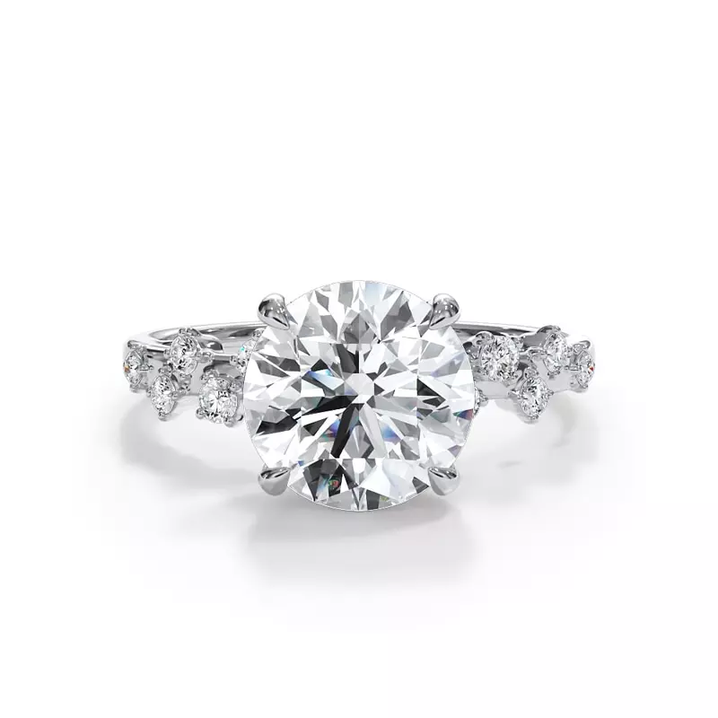 Platinum Maris Scattered Diamond Hidden Halo Engagement Ring