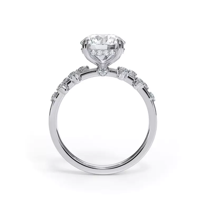 Platinum Maris Scattered Diamond Hidden Halo Engagement Ring