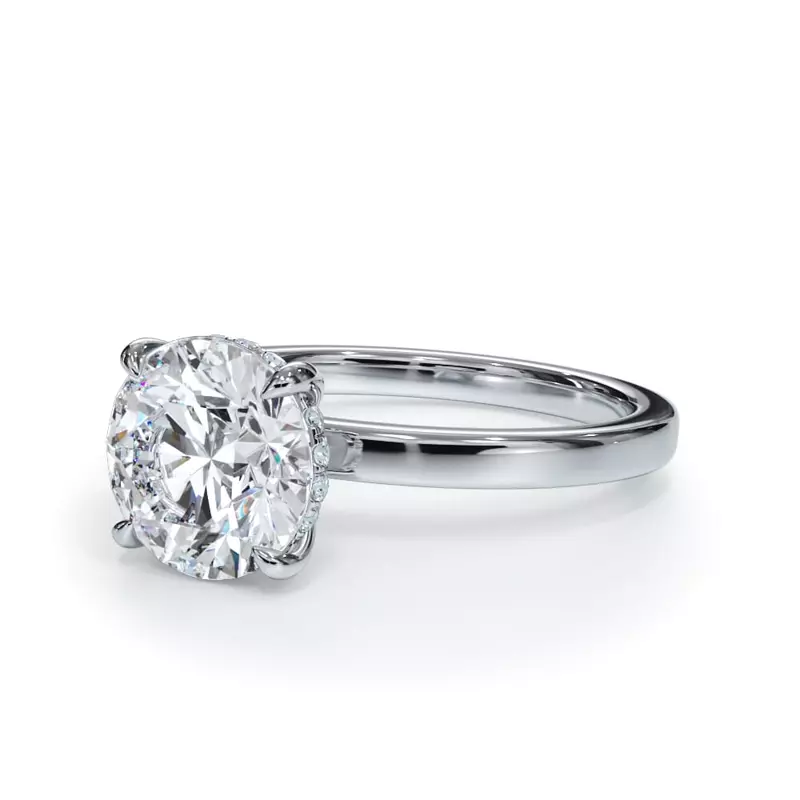 Platinum Bellora Hidden Halo Engagement Ring (2mm)