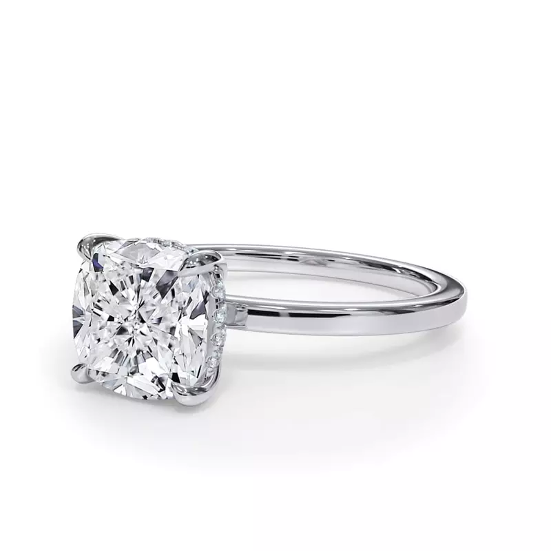 Platinum Bellora Hidden Halo Engagement Ring