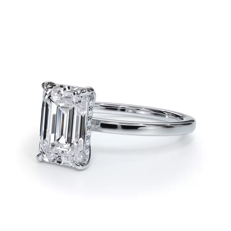 Platinum Bellora Hidden Halo Engagement Ring