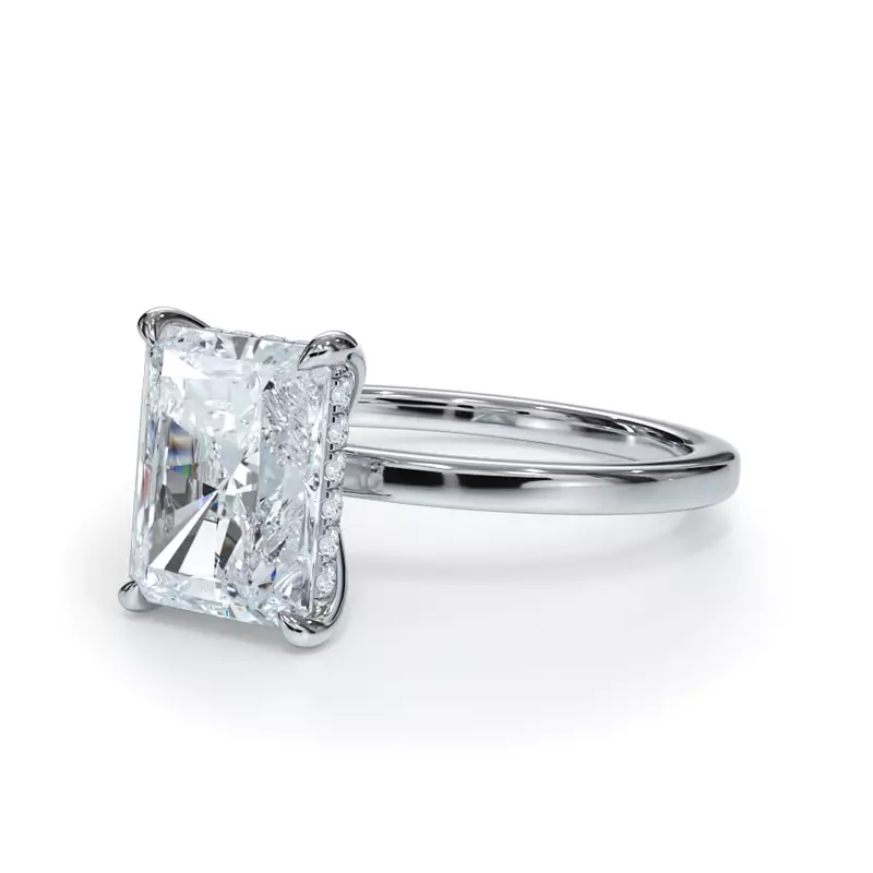 Platinum Bellora Hidden Halo Engagement Ring