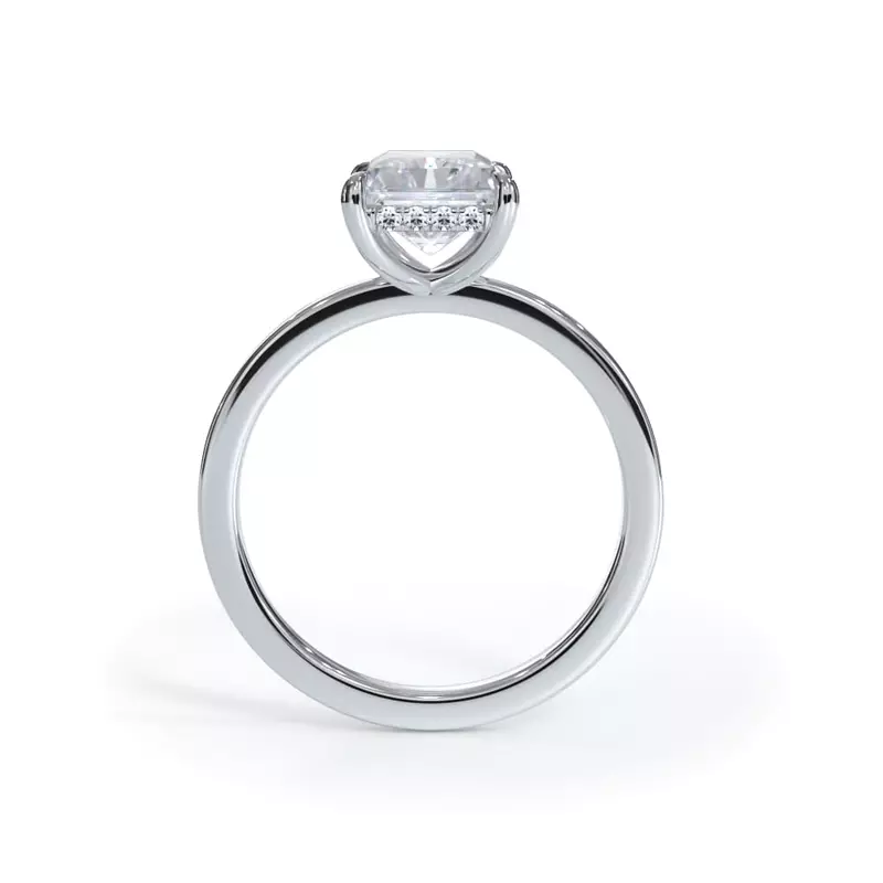 Platinum Bellora Hidden Halo Engagement Ring