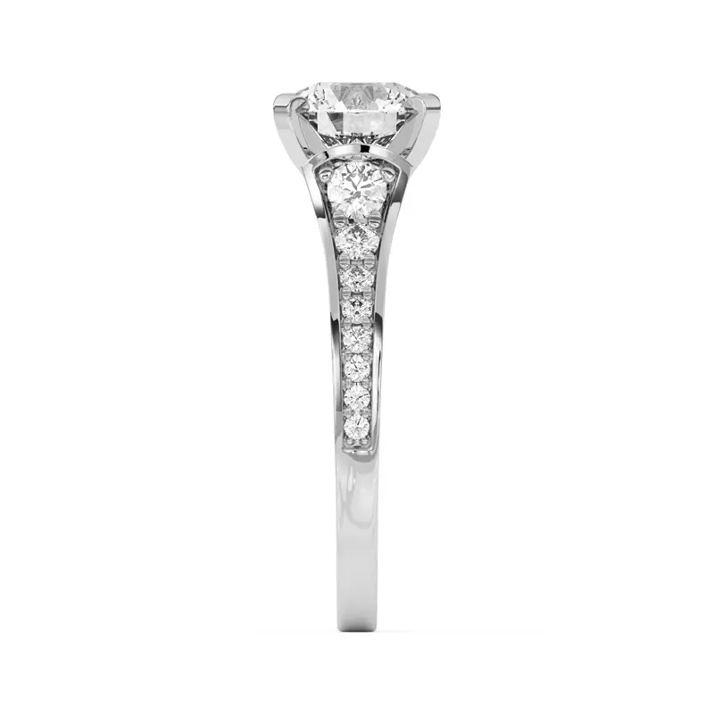 Platinum Bria Graduated Wide Cathedral Engagement Ring