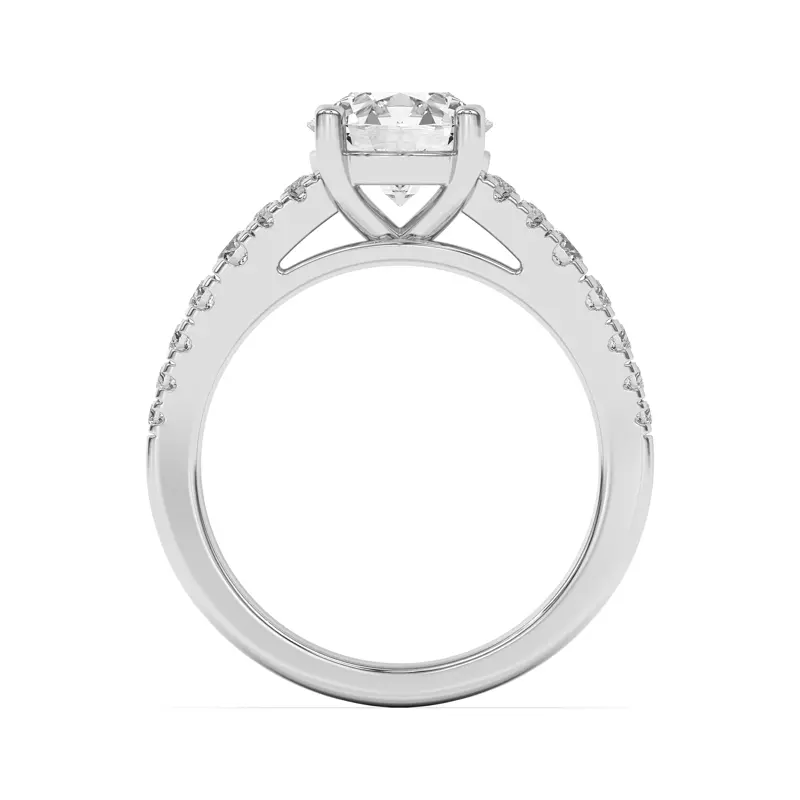 Platinum Nalani Pavé Cathedral Engagement Ring