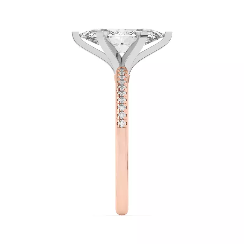 Rose Gold 14k & White Gold 14k Meryl Petite Pavé Engagement Ring