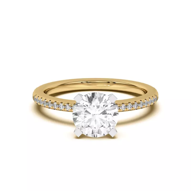 Yellow Gold 14k & White Gold 14k Meryl Petite Pavé Engagement Ring