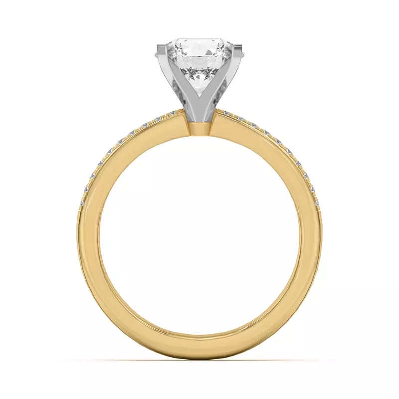 Yellow Gold 14k & White Gold 14k Meryl Petite Pavé Engagement Ring