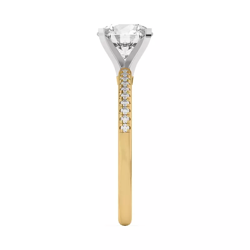 Yellow Gold 14k & White Gold 14k Meryl Petite Pavé Engagement Ring