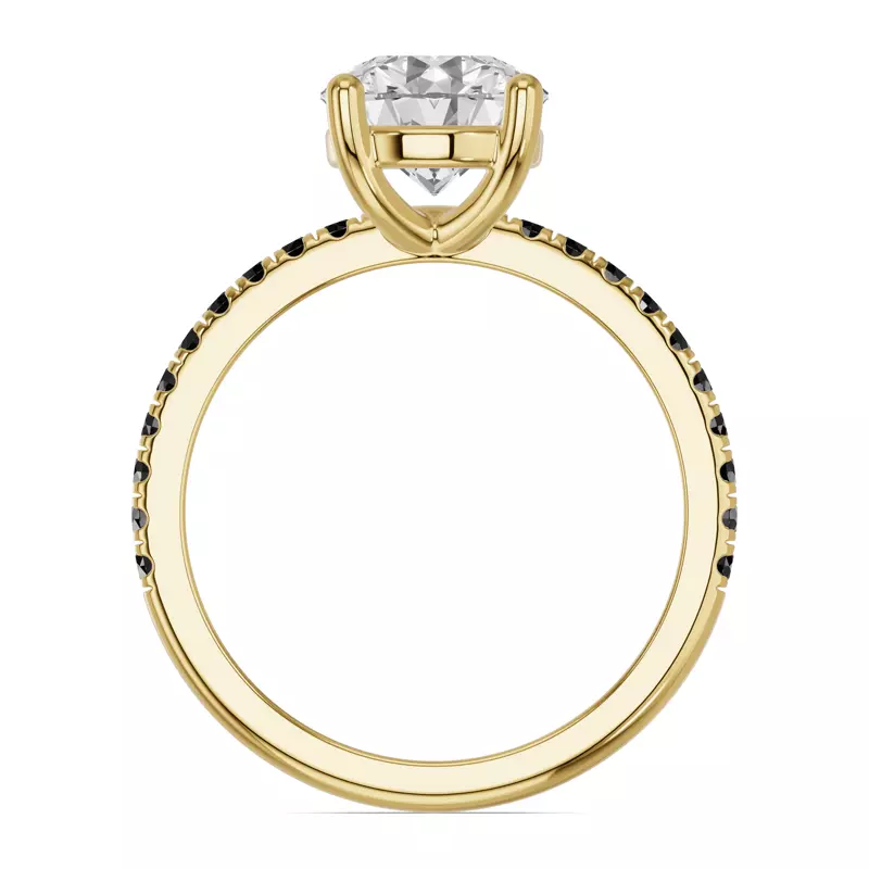 14K Yellow Gold Spectra Black Diamond Engagement Ring