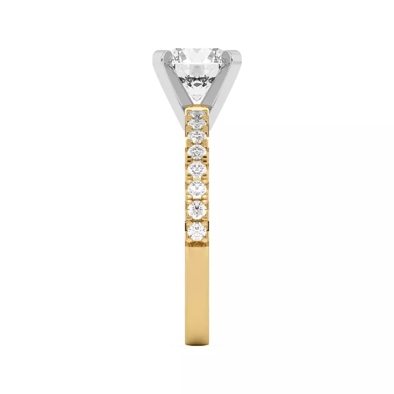 Yellow Gold 14k & White Gold 14k Mabel Classic Pavé Engagement Ring (1/3 ct. tw.)