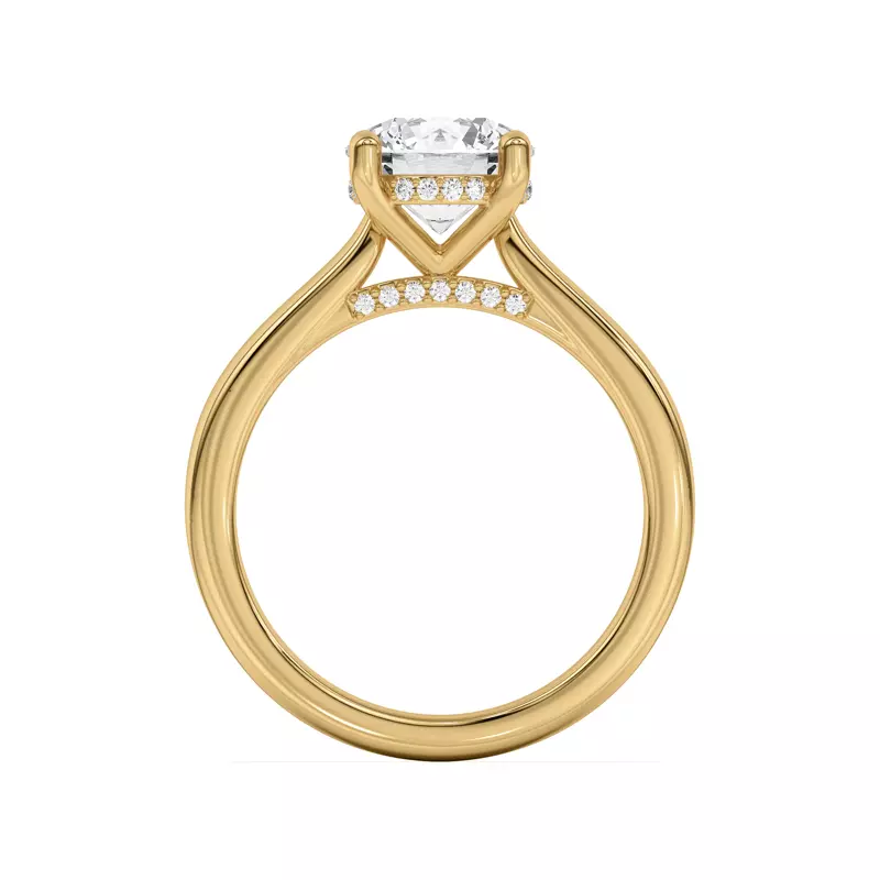 14K Yellow Gold Sonja Diamond Bridge Hidden Halo Ring