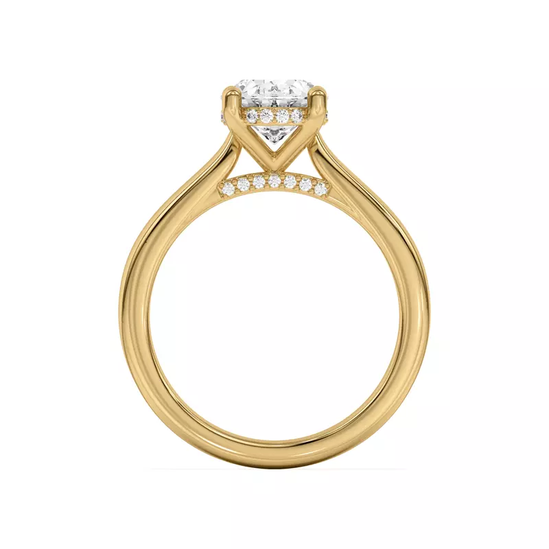 14K Yellow Gold Sonja Diamond Bridge Hidden Halo Engagement Ring