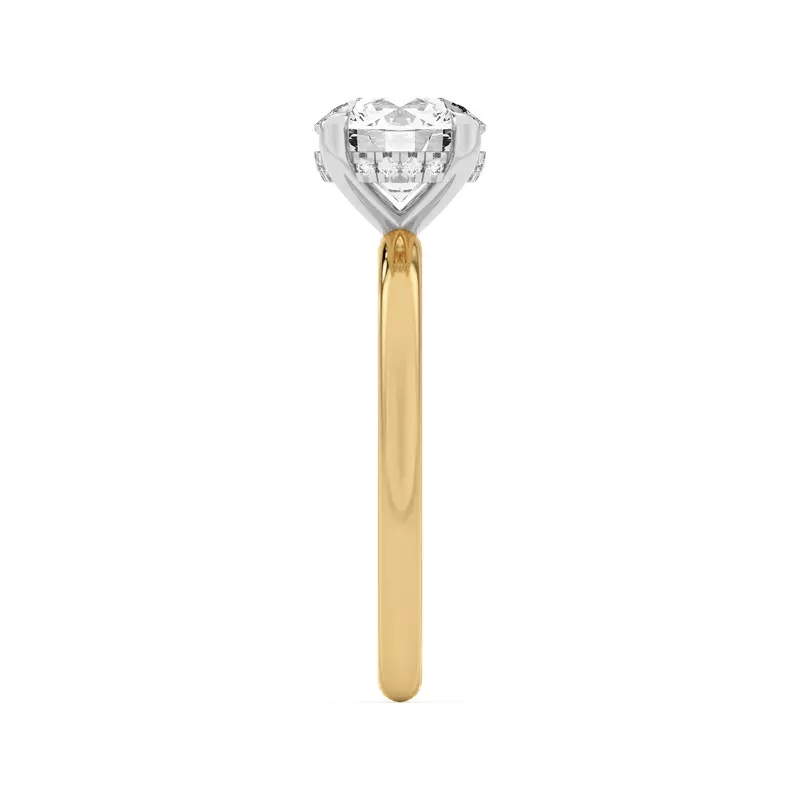 Yellow Gold 14k & White Gold 14k Joelle Hidden Halo Diamond Two-Tone Engagement Ring