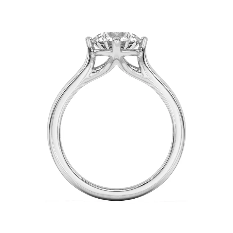 Platinum Peggy Compass-Set Cathedral Engagement Ring