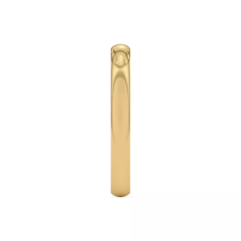 14K Yellow Gold Bijou Classic Band