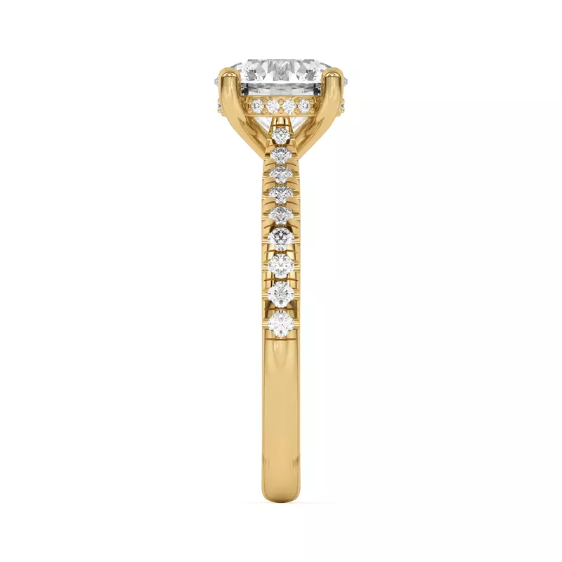 14K Yellow Gold Sonja Grand Pavé Hidden Halo Engagement Ring