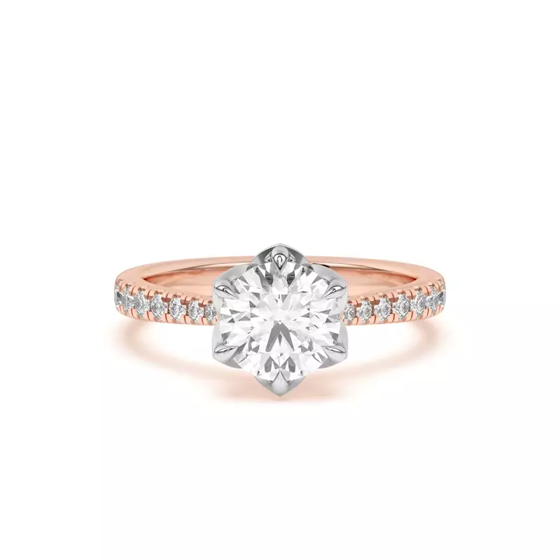 New Matching Band