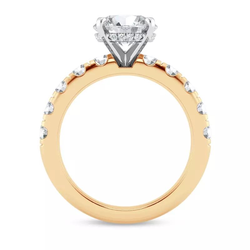 14K Yellow Gold Tradition Hidden Halo Lab Pavé Engagement Ring (1.00ct. tw.)