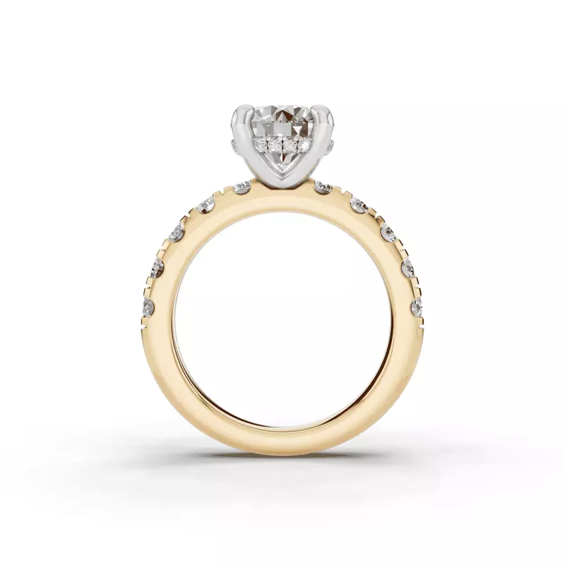 14K Yellow Gold Tradition Hidden Halo Lab Pavé Engagement Ring (1.00ct. tw.)