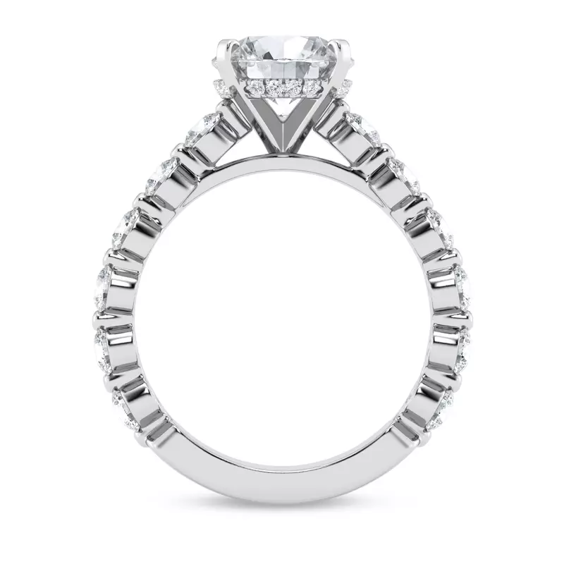 Platinum Tradition Hidden Halo Pavé Lab Shared Prong Cathedral Engagement Ring (1.05ct. tw.)