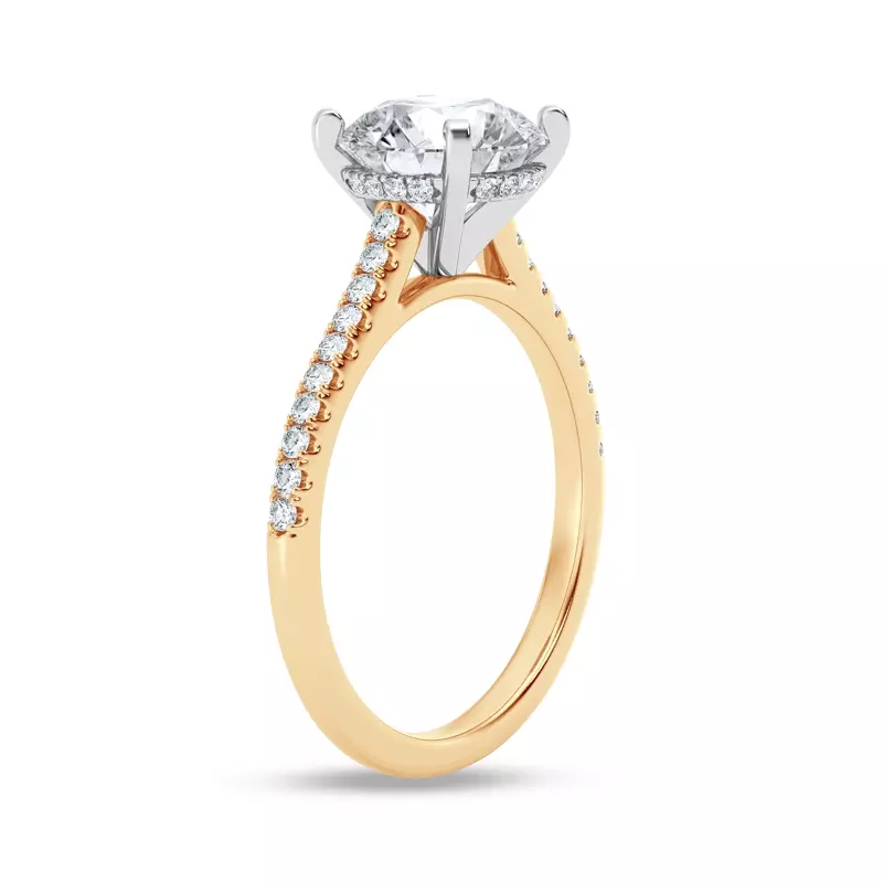 14K Yellow Gold Tradition Hidden Halo Cathedral Pavé Lab Engagement Ring (1/4ct. tw.)