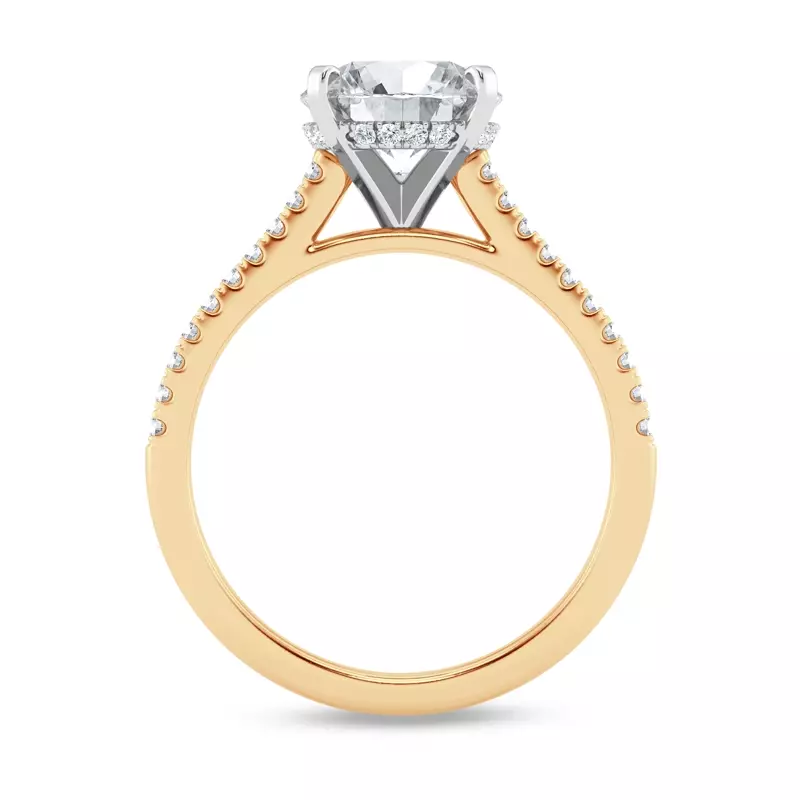 14K Yellow Gold Tradition Hidden Halo Cathedral Pavé Lab Engagement Ring (1/4ct. tw.)