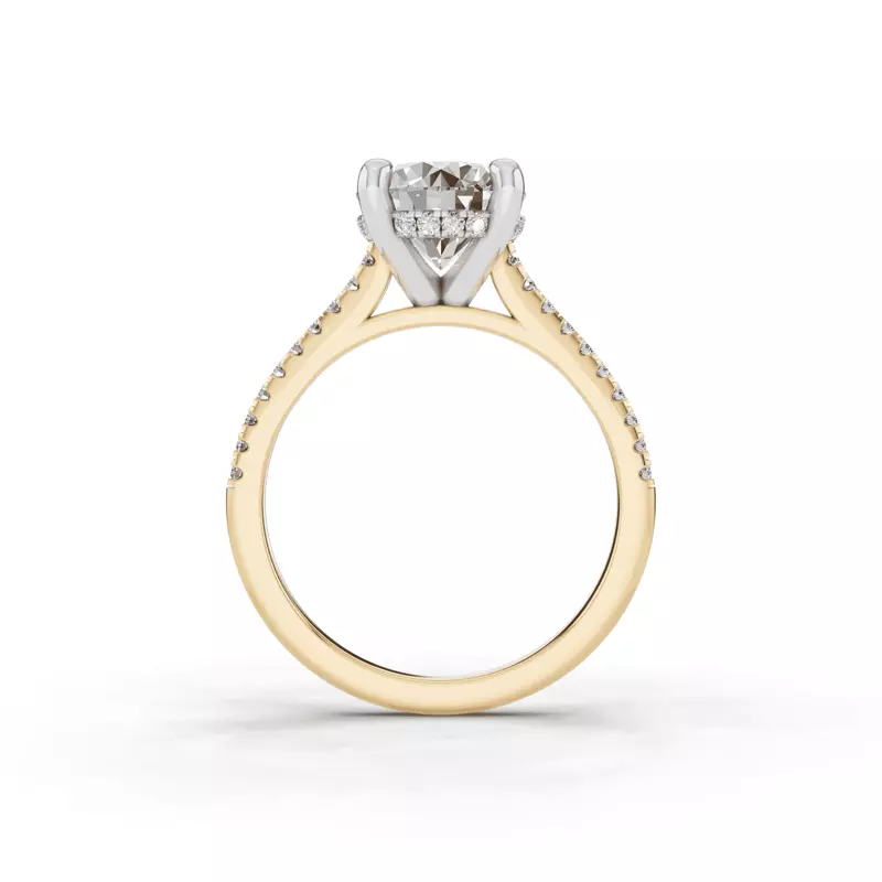 14K Yellow Gold Tradition Hidden Halo Cathedral Pavé Lab Engagement Ring (1/4ct. tw.)