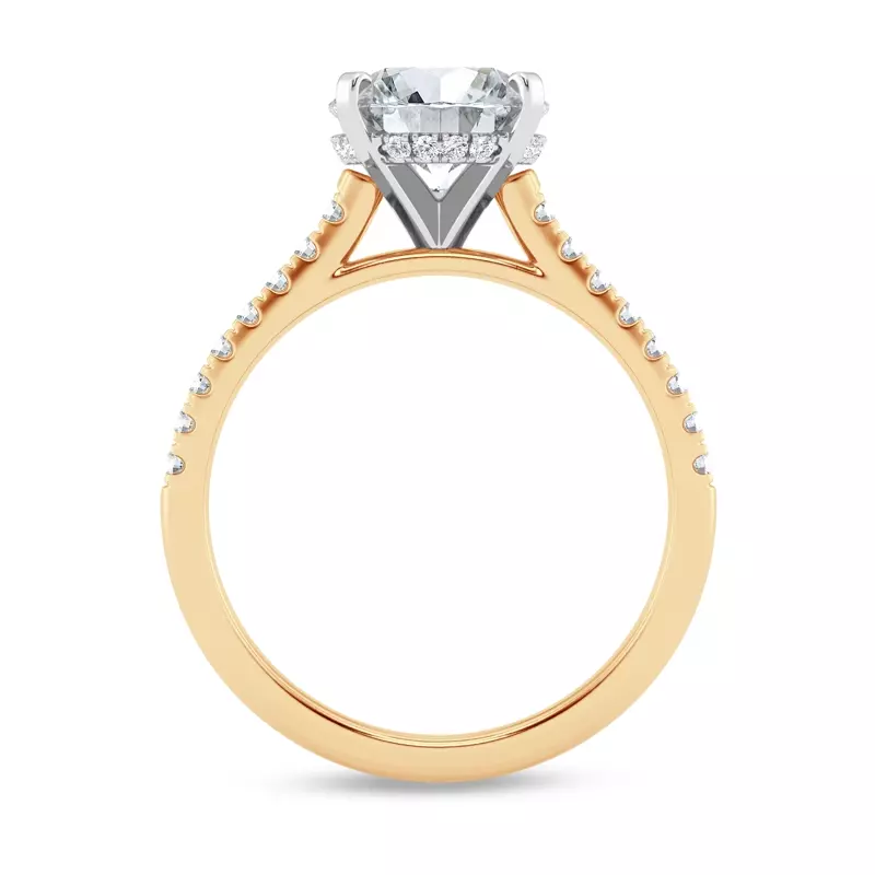 14K Yellow Gold Tradition Hidden Halo Cathedral Pavé Lab Engagement Ring (.30ct. tw.)